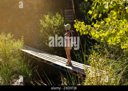 Frau mit Hut und Rucksack steht auf einer rustikalen Holzbrücke, im Sonnenlicht, umgeben von üppigem Grün während einer Wanderung. Stockfoto