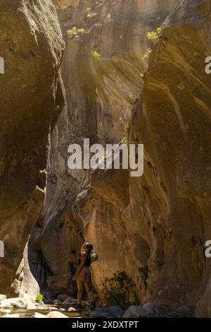 Eine Frau erkundet einen engen Canyon mit hoch aufragenden Felswänden und zeigt die raue Schönheit und Größe der natürlichen Formation. Sie steht in Ehrfurcht, hochlig Stockfoto