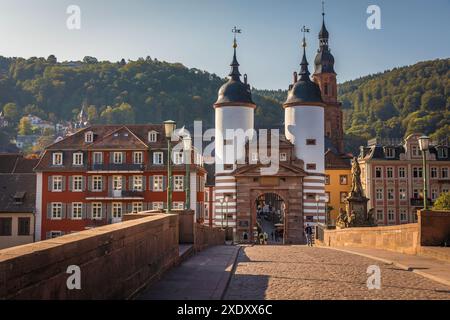 Geografie / Reise, Deutschland, Baden-Württemberg, ADDITIONAL-RIGHTS-CLEARANCE-INFO-NOT-AVAILABLE Stockfoto