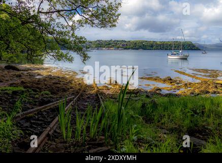 Blick vom Aros Park über Tobermory auf der Isle of Mull mit einem Fischerboot Stockfoto