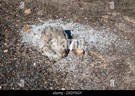 Blick auf den Boden, gemischt aus Sand und vulkanischem Staub. Mehrere kleine Felsen. Heller Sonnenschein. Teseguite, Lanzarote, Kanarische Inseln, Spanien. Stockfoto