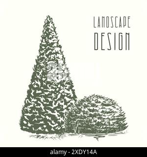 Baumgruppe. Thuja und Fichte kleine Tintengrafiken. Piktogramme von allgemeinen Plänen und Dendroplanen in der Landschaftsgestaltung im Skizzenstil. Isoliert auf Wi Stock Vektor