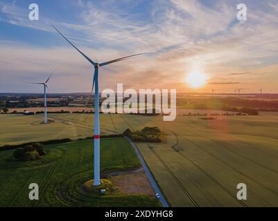 Luftaufnahme des Windenergieparks mit Maisfeldlandschaft, bei herrlichem Sonnenuntergang, Deutschland, Europa. Stockfoto