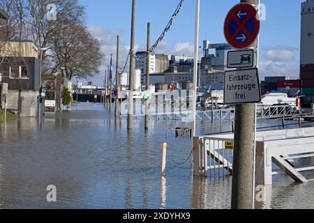 Hochwasser am rhein im Hafen von gernsheim Stockfoto