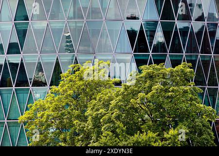 Grüner Baum vor dem Westhafenturm mit dreieckiger Fassadenstruktur, die an ein Apfelweinglas erinnert, Deutschland, Hessen, Frankfurt am Main Stockfoto