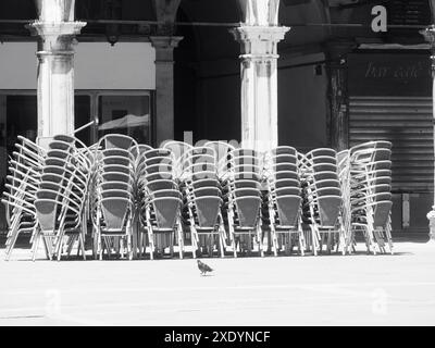 Venedig, Italien - 30. Juni 20220 Schwarzweiß-Foto einer Taube, die auf einem leeren Platz mit gestapelten Stühlen vor einer geschlossenen Bar spaziert Stockfoto