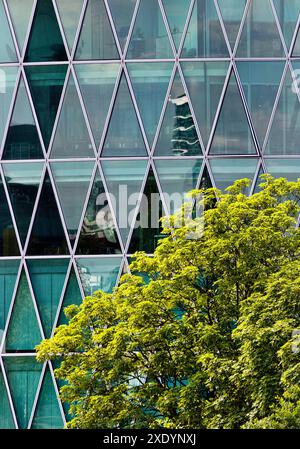 Grüner Baum vor dem Westhafenturm mit dreieckiger Fassadenstruktur, die an ein Apfelweinglas erinnert, Deutschland, Hessen, Frankfurt am Main Stockfoto