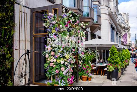 The Athenaeum Hotel & Residences , Piccadilly , London , England , UK Credit Simon Dack Stockfoto