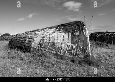 Schwarzweiß-Foto eines alten umgedrehten Holzruderbootes auf den grasbewachsenen Sanddünen der Küstenbucht auf der Heiligen Insel Lindisfarne, Großbritannien Stockfoto