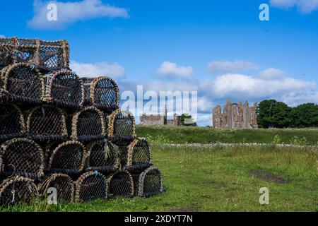 Hummer-/Krabben-/Creel-Töpfe stapeln sich auf der Heiligen Insel Lindisfarne mit der Lindisfarne Priory als Kulisse, die Geschichte und das Inselleben miteinander verbindet Stockfoto