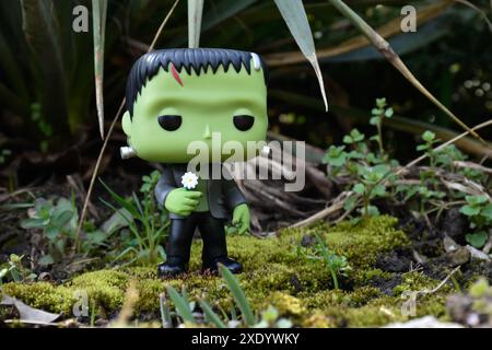 Funko Pop Actionfigur von Frankensteins Monster mit Gänseblümchenblume aus klassischem Horrorfilm. Dunkler Wald, grün, Garten, Pflanzen, Moos, Gras. Stockfoto