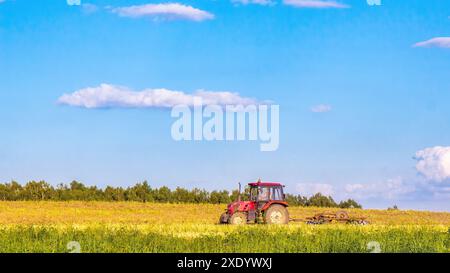 Roter Traktor pflügt ein Feld am Sommertag. Der Arbeitstag in der Landwirtschaft Stockfoto
