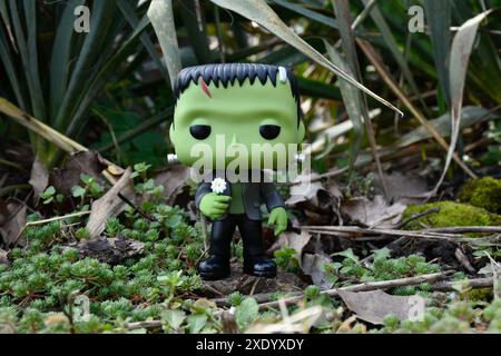 Funko Pop Actionfigur von Frankensteins Monster mit Gänseblümchenblume aus klassischem Horrorfilm. Dunkler Wald, grün, Garten, Pflanzen, Moos, Gras. Stockfoto