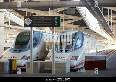 Bahnhof von Valencia Joaquin Sorolla. Hochgeschwindigkeitszug. Ave. Valencia. Comunidad Valenciana. Spanien. Stockfoto