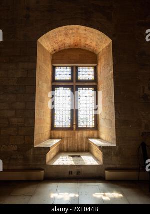 Avignon Frankreich. Der beeindruckende Papstpalast, Palais du Papes, in der Altstadt von Avignon, Avignon, Provence, Südfrankreich. Stockfoto