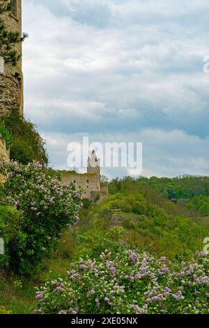 Blick von der Ruine Saaleck auf die Ruine Rudelsburg Stockfoto