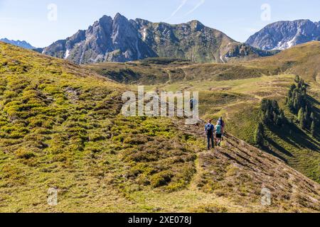 Wanderung auf dem Almenweg durch das Salzburgerland, Großarl, Salzburg, Österreich Stockfoto