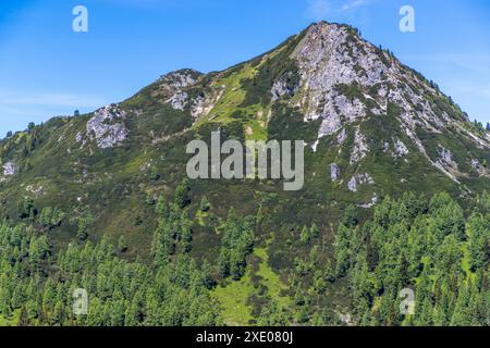 Wanderung auf dem Almenweg durch das Salzburgerland, Großarl, Salzburg, Österreich Stockfoto