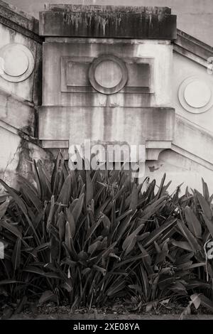 Sydney Harbour Bridge, Art déco-Details auf der Balustrade Milsons Point Steps mit rechteckigem Relief und kreisförmigem Motiv aus Beton, Canna-Lilienblättern Stockfoto