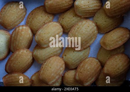 Hausgemachte Madeleine-Kuchen wurden auf ein Papiertuch zum Kühlregal gelegt, bevor sie mit Puderzucker bestäubt wurden (siehe die anderen Bilder) Stockfoto