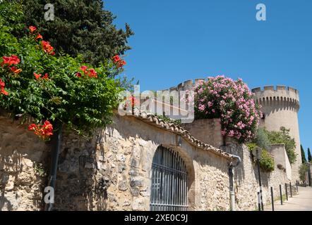 Bemerkenswerter Garten der Benediktinerabtei Saint-André in Villeneuve, Avignon, Provence im Süden Frankreichs. Stockfoto