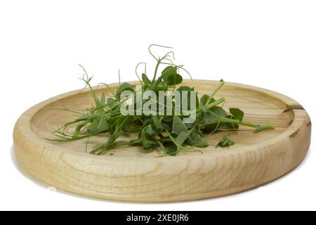 Erbsensprossen sprießen Mikrogrün in einer Holzschale. Grüne Triebe von Yak, junge Pflanzen, Sprossen einer leckeren und nützlichen Pflanze. Makrofoto von Stockfoto