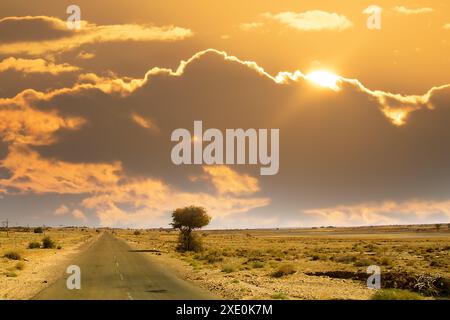Eine Straße in einer Halbwüste Stockfoto