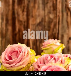 Hochzeitsdekoration Rosen, Stockfoto