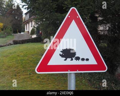 Straßenschild, Igel Stockfoto