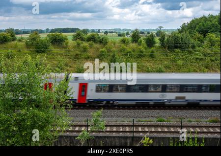 Wambeek, Ternat, Belgien, 22. Juni 2024 - belgischer Zug fährt durch die flämische Landschaft Stockfoto