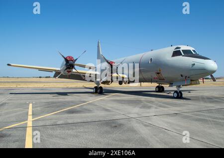 P-3 Orion Marine Anti-U-Boot Patrouillenflugzeug Stockfoto