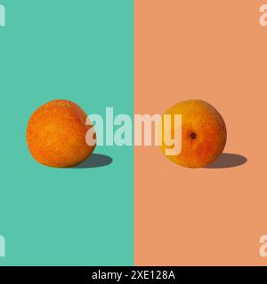 Aprikosenquadratische Komposition mit harten Schatten flach auf pastellfarbenen türkisfarbenen und orangen Hintergrund. Kreatives Layout aus frischen Sommerfrüchten. Vegane Ra Stockfoto