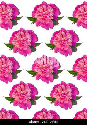 Rosa Pfingstrose Blumen regelmäßiges vertikales Muster auf farbigem Hintergrund für Mobiltelefon Desktop-Website Blumendesign. Stockfoto