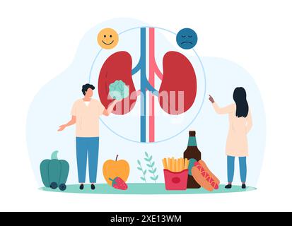 Ernährungsbewusstsein für die Nierengesundheit, Gefahr von Nierensteinen. Winzige Leute halten Stein, Ärzte und Infografik medizinische Karte Warnung über Auswirkungen von ungesunden Fast Food Cartoon Vektor Illustration Stock Vektor