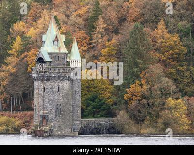 Rund um den Lake Vyrnwy im Herbst, Powys, Mid Wales, Großbritannien Stockfoto