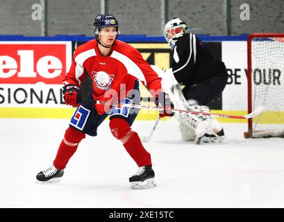 Nr. 8 Gustav Forsling, Linköping Hockeyclub, LHC, Linköping, Schweden, während eines Trainings in der Saab Arena. Stockfoto