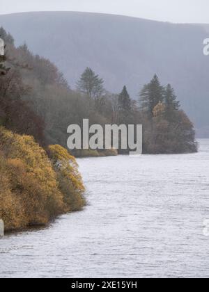 Rund um den Lake Vyrnwy im Herbst, Powys, Mid Wales, Großbritannien Stockfoto