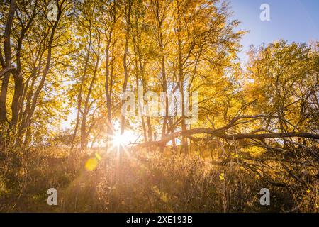 Geografie / Reisen, Deutschland, Hessen, ADDITIONAL-RIGHTS-CLEARANCE-INFO-NOT-AVAILABLE Stockfoto