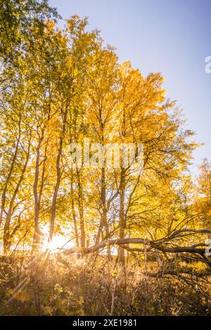 Geografie / Reisen, Deutschland, Hessen, ADDITIONAL-RIGHTS-CLEARANCE-INFO-NOT-AVAILABLE Stockfoto