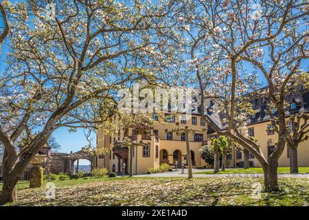 Geografie / Reisen, Deutschland, Hessen, ADDITIONAL-RIGHTS-CLEARANCE-INFO-NOT-AVAILABLE Stockfoto