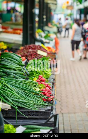 Nahaufnahme von frischen grünen Zwiebeln, Radieschen und anderem Gemüse, die auf dem Markt zum Verkauf angeboten werden, selektiver Fokus Stockfoto