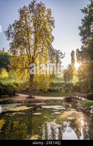 Geographie / Reise, Deutschland, Hessen, Teich im Staatspark Fürstenlager, Bensheim, ADDITIONAL-RIGHTS-CLEARANCE-INFO-NOT-AVAILABLE Stockfoto