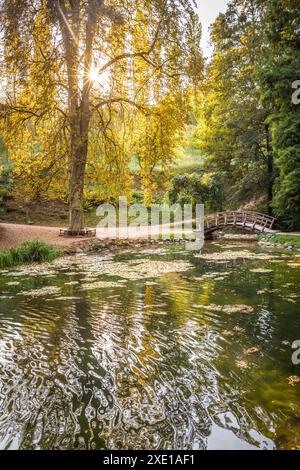 Geographie / Reise, Deutschland, Hessen, Teich im Staatspark Fürstenlager, Bensheim, ADDITIONAL-RIGHTS-CLEARANCE-INFO-NOT-AVAILABLE Stockfoto