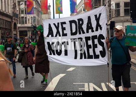 Plakat „Axe Drax Not Trees“, bei The Restore Nature march, London, UK, 22. Juni 2024 Stockfoto