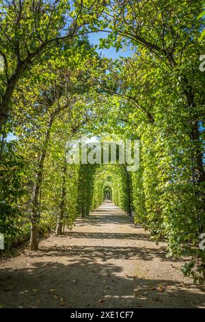 Geografie / Reisen, Deutschland, Hessen, ADDITIONAL-RIGHTS-CLEARANCE-INFO-NOT-AVAILABLE Stockfoto