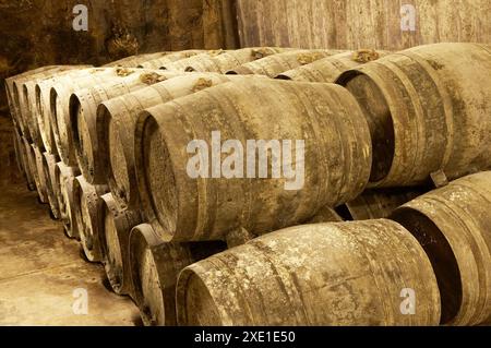 Rioja-Wein in Eichenfässern reift. Bodegas Virgen del Valle, Samaniego, Rioja Alavesa, Euskadi Stockfoto