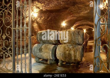 Rioja-Wein in Eichenfässern reift. Bodegas Virgen del Valle, Samaniego, Rioja Alavesa, Euskadi Stockfoto