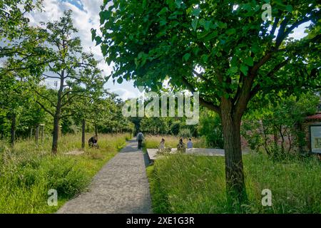 Comenius Garten, kleiner, ruhiger öffentlicher Garten mit Bäumen, Sträuchern und Blumenrabatten in Rixdord, Berlin-Neukölln, Comenius Garten, kleiner, ruhiger öffentlicher Garten mit Bäumen, Sträuchern und Blumenrabatten in Rixdord, Berlin-Neukölln, *** Comenius Garten, kleiner, ruhiger öffentlicher Garten mit Bäumen, Sträuchern und Blumenrändern in Rixdord, Berlin Neukölln, Comenius Garten, klein, Comenius Garten, Comenius Garten, klein, Comenius Garten ruhiger öffentlicher Garten mit Bäumen, Sträuchern und Blumenrändern in Rixdord, Berlin Neukölln, Stockfoto