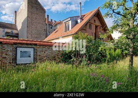 Comenius Garten, kleiner, ruhiger öffentlicher Garten mit Bäumen, Sträuchern und Blumenrabatten in Rixdord, Berlin-Neukölln, Comenius Garten, kleiner, ruhiger öffentlicher Garten mit Bäumen, Sträuchern und Blumenrabatten in Rixdord, Berlin-Neukölln, *** Comenius Garten, kleiner, ruhiger öffentlicher Garten mit Bäumen, Sträuchern und Blumenrändern in Rixdord, Berlin Neukölln, Comenius Garten, klein, Comenius Garten, Comenius Garten, klein, Comenius Garten ruhiger öffentlicher Garten mit Bäumen, Sträuchern und Blumenrändern in Rixdord, Berlin Neukölln, Stockfoto