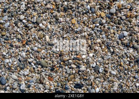 Hintergrund von kleinen Kieselsteinen und Steinen an der Küste oder im Garten Stockfoto